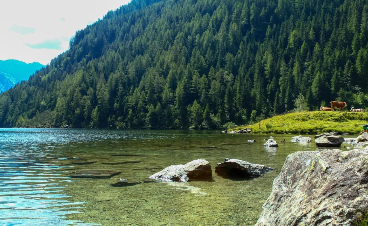 Ferienwohnungen Reinbacher - Primps Schladming Buitenkant foto