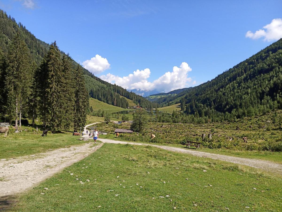 Ferienwohnungen Reinbacher - Primps Schladming Buitenkant foto