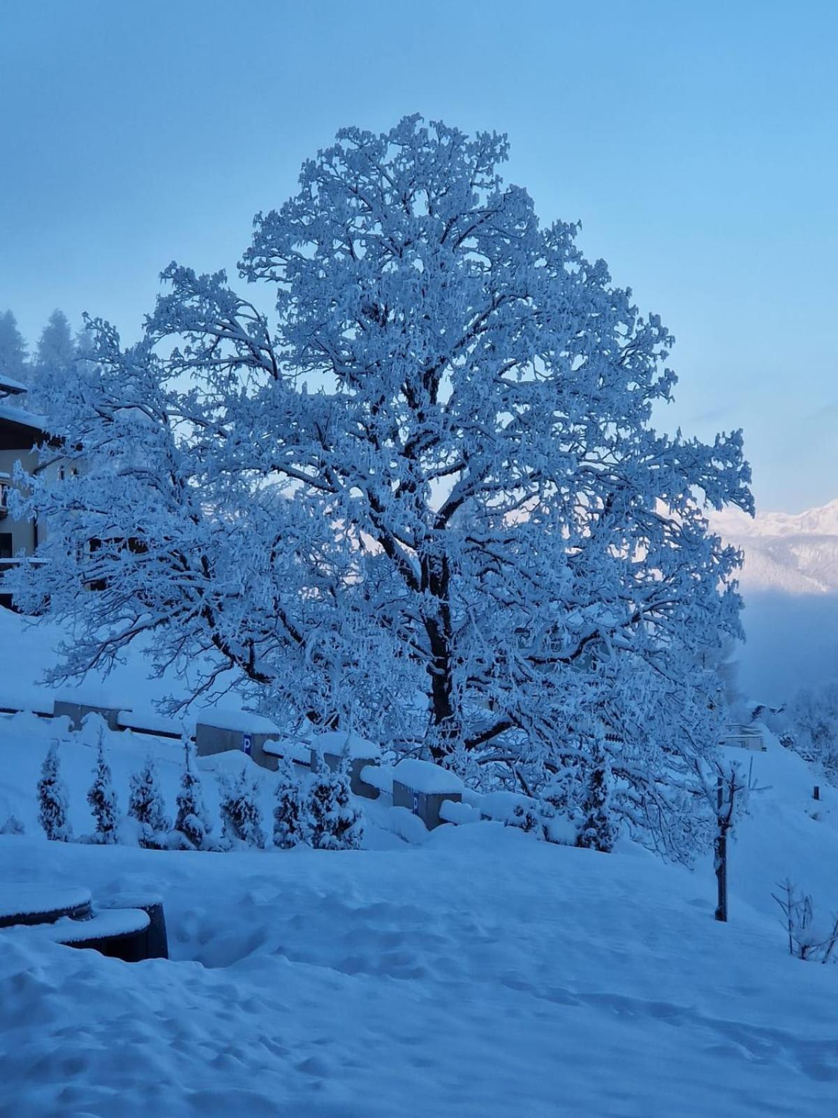 Ferienwohnungen Reinbacher - Primps Schladming Buitenkant foto