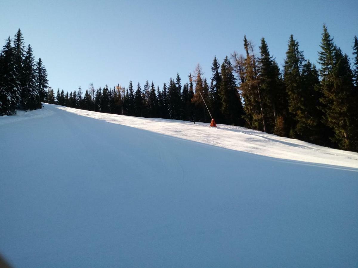 Ferienwohnungen Reinbacher - Primps Schladming Buitenkant foto